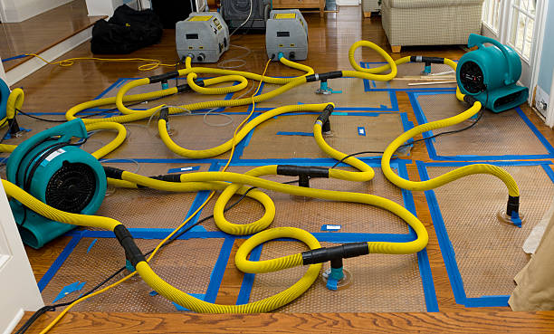 Professional Structural Drying And Dehumidification technician working in Paradise, UT